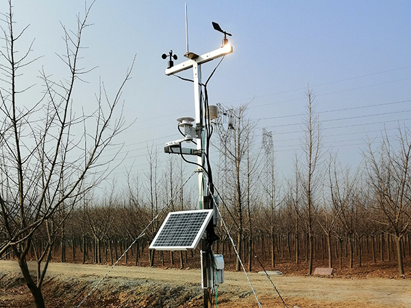 农业南瓜视频在线观看入口的作用规格型号