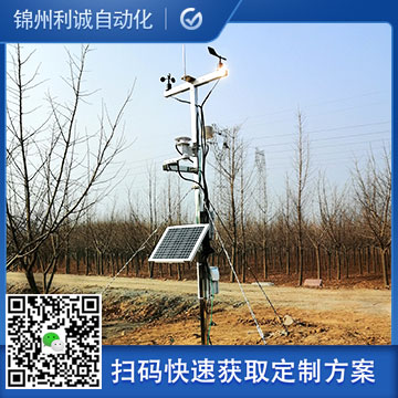 小型南瓜视频在线观看入口