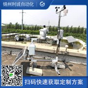 订购自动式南瓜视频在线观看入口注意什么