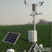 农业自动南瓜视频在线观看入口促进温室种植发展