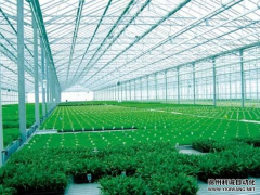 专业定制农业南瓜视频在线观看入口设备监测系统